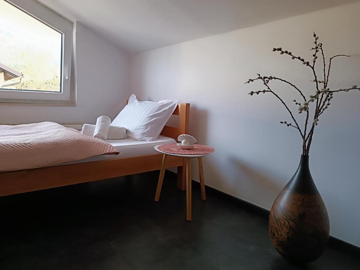 Apartma Frigo Maribor Exterior photo